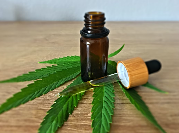 Unlocking the Power of CBD: A Comprehensive Guide for Beginners