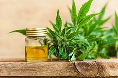 Does CBD Oil Thin Your Blood? Understanding the Impact