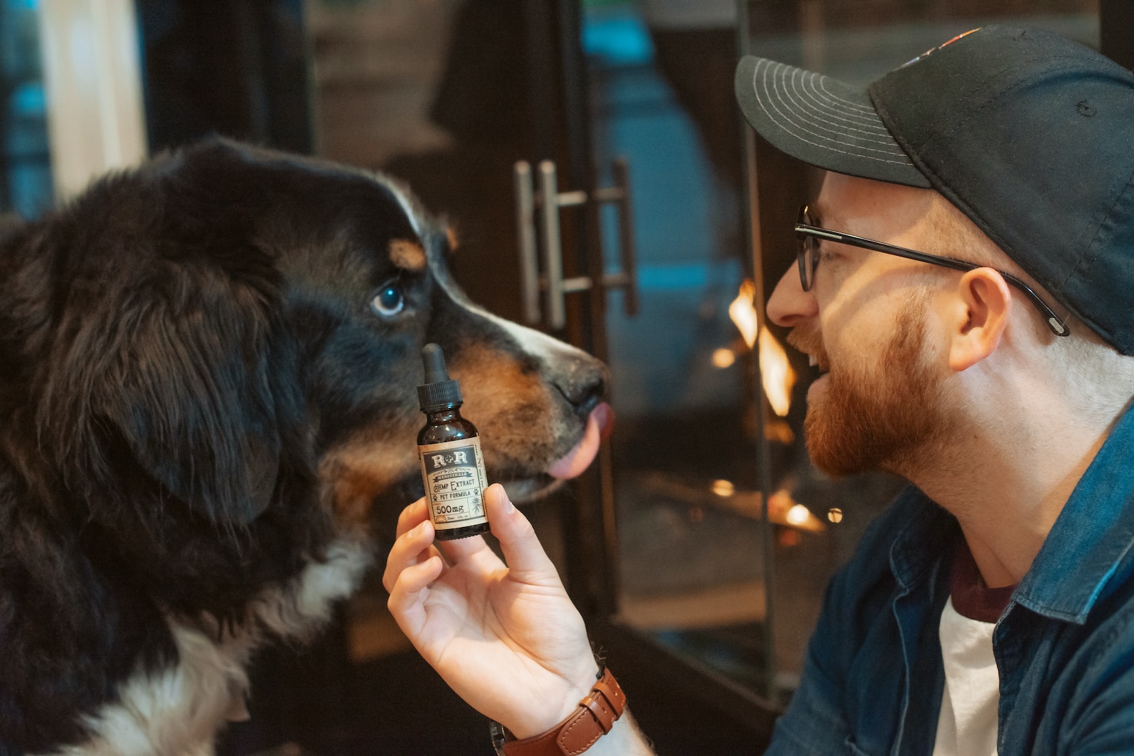 Can CBD Oil Help Dogs with Laryngeal Paralysis?